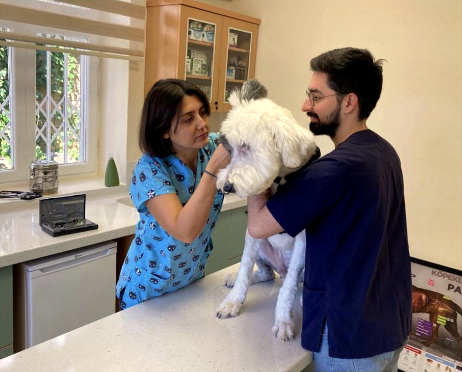 Petite Veteriner Kliniği'nde Veteriner Hekim Alara Eren ve Ayberk Yıldırım bir köpeği muayene ederken