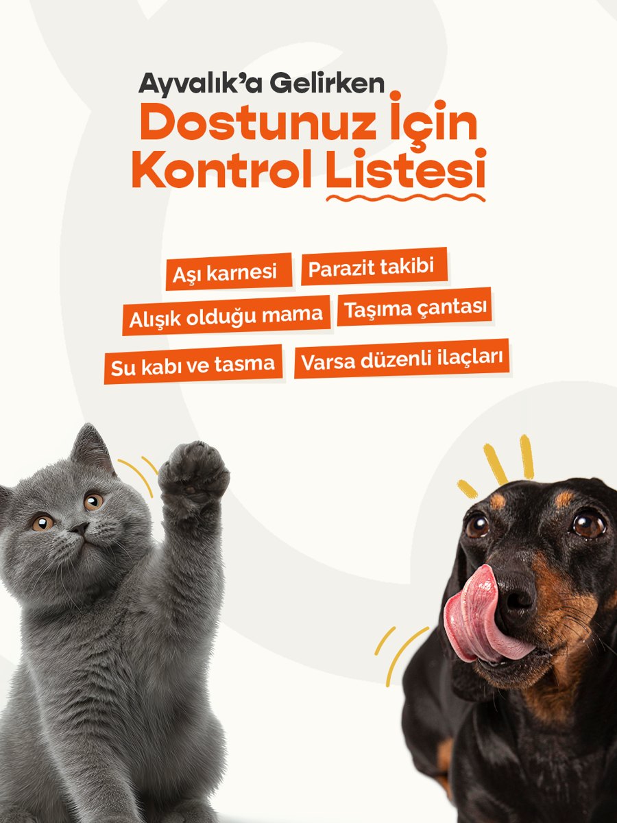 Ayvalık'a gelirken dostunuz için kontrol listesi