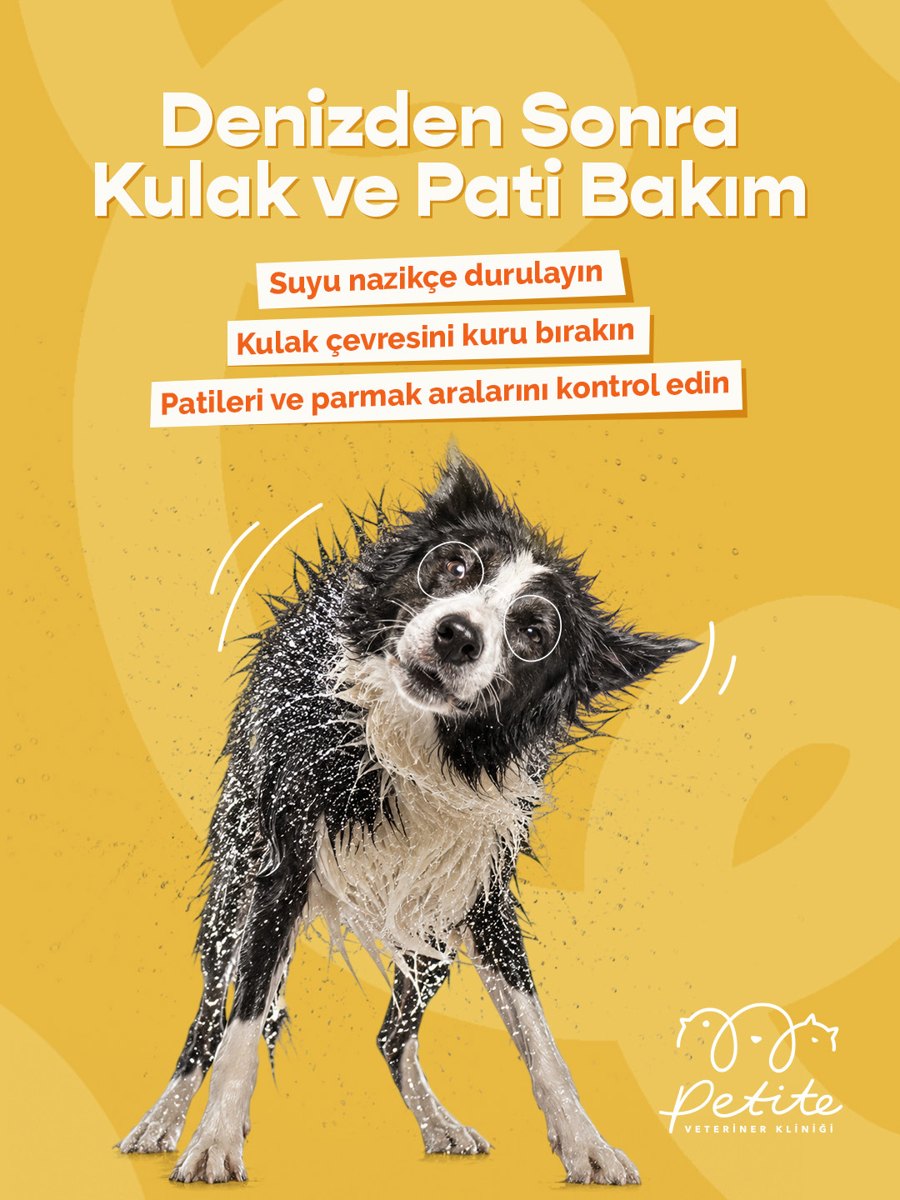 Denizden sonra kulak ve pati bakımı