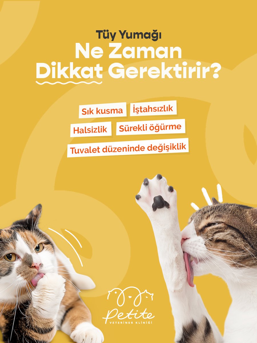 Kedilerde tüy yumağı ne zaman dikkat gerektirir